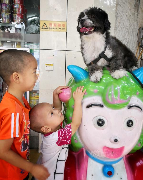 三 级 黄色 视频