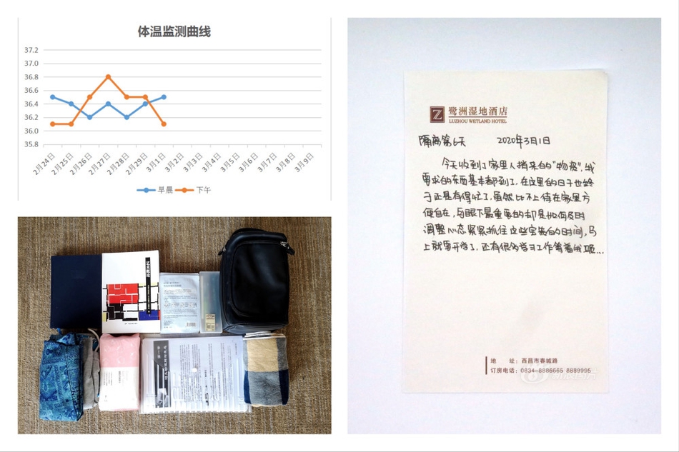 美女的黄色视频