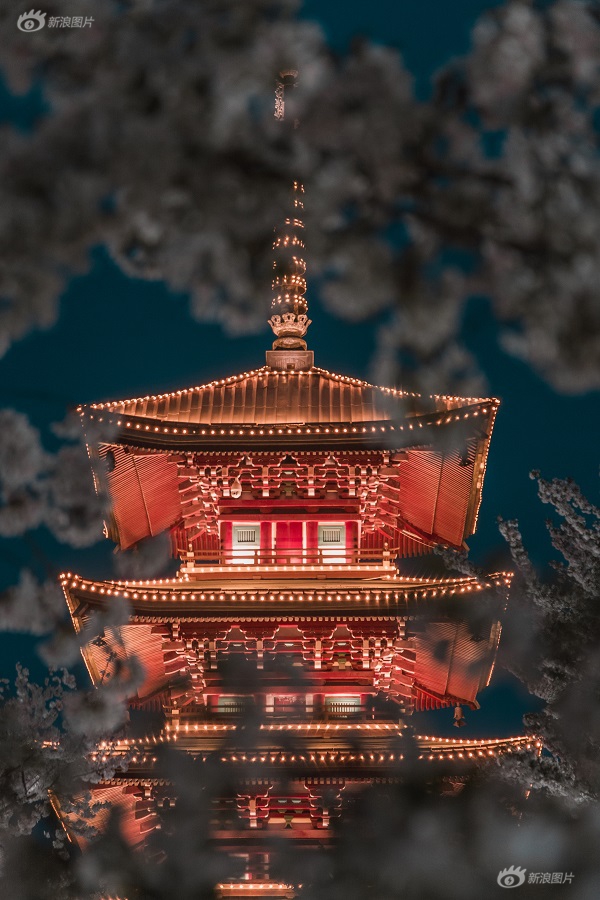 越南大奶