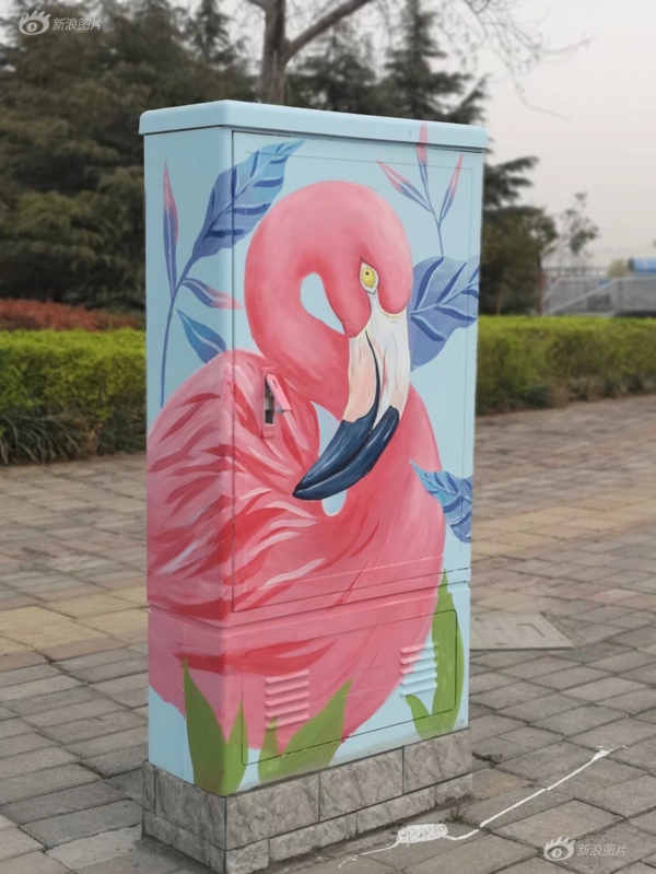弱気乙女