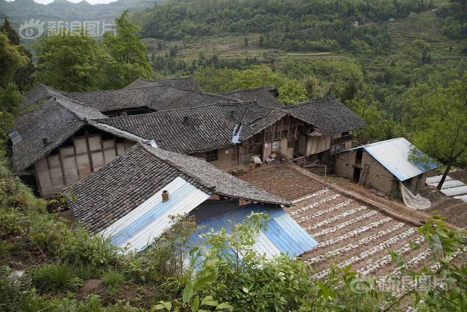 通江县城多少人口_吉林有多少人口