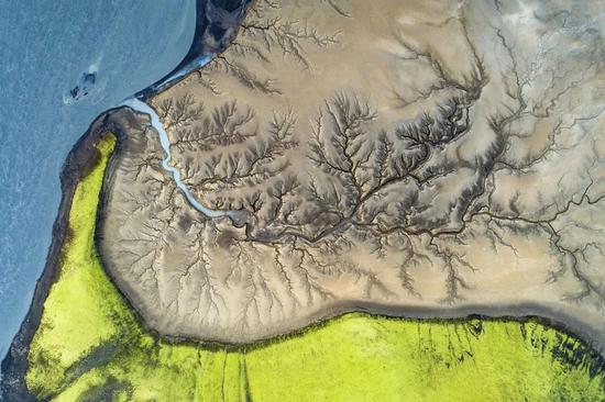生命之树 冰岛，流沙中的水。© Florian LeDoux（法国）景观组