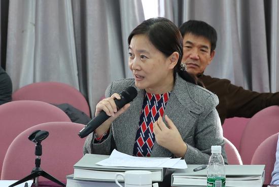 赵迎新在研讨会上发言。摄影:徐申