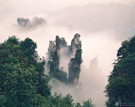 天子山秀色 陈勃 摄影