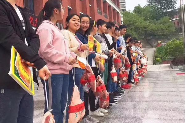 马湖乡：多举措助推农村人居环境大提升