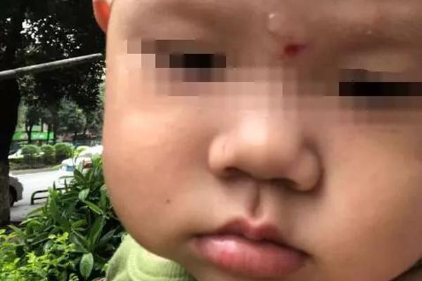 大店镇腊八古会盛大开幕