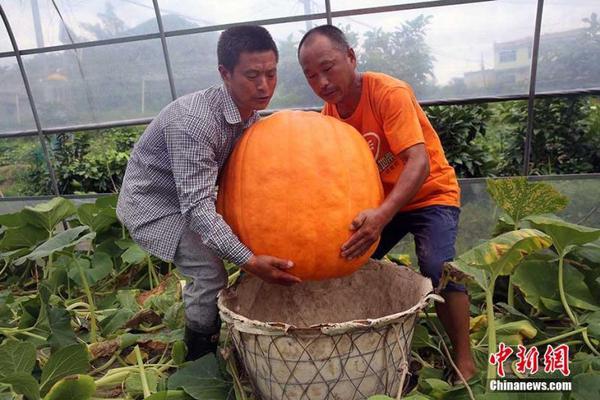 清明出遊，這些事項千萬要注意