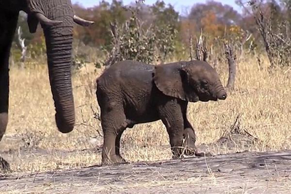 马拉加老板-爱游戏app(中国)官方网站下载_ayx体育app下载