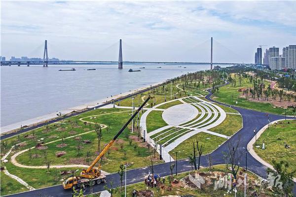 熬夜看球不伤身
：足球比赛 免费直播的健康指南