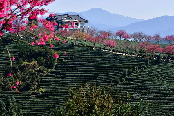 数据分析：体育直播 精彩瞬间如何看懂比赛的胜负手
？