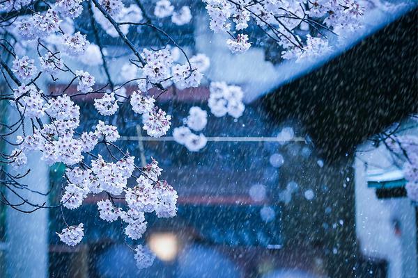 揭秘！包你發娛樂城真的能換現金嗎？老司機帶路，幣商交易、風險與隱藏技巧全解析！ 