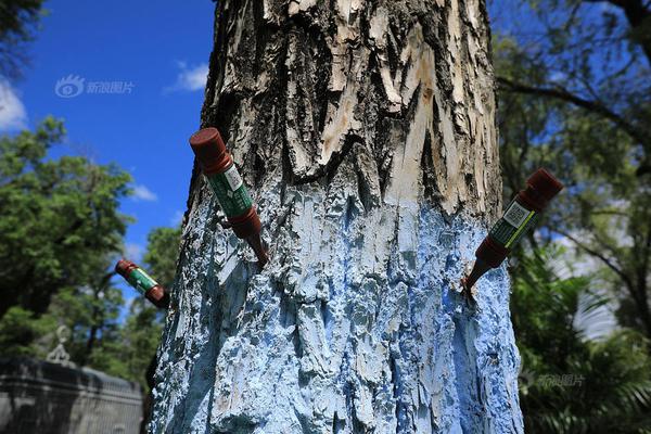 快乐大本营现场直播-乐鱼app(leyu)官方网站-乐鱼官网