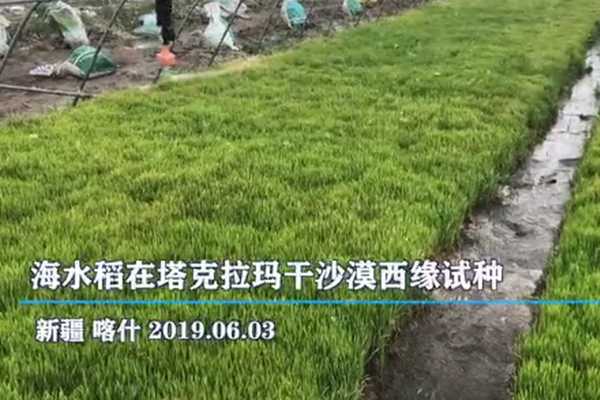 谢亚龙 叉腰肌-乐鱼app(leyu)官方网站-乐鱼官网