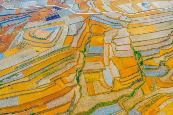 拜仁慕尼黑壁纸