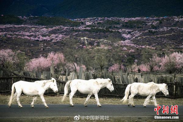 阿斯顿维拉vs曼联-爱游戏App官方下载入口-爱游戏