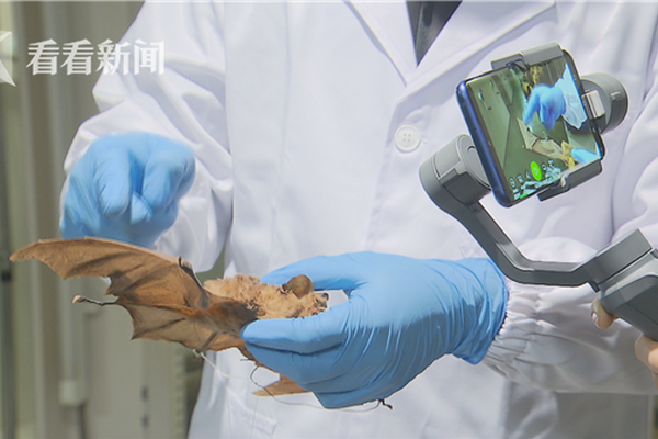 爱尔兰国家队-乐鱼APP下载-乐鱼体育app-乐鱼体育官网网站|乐鱼体育