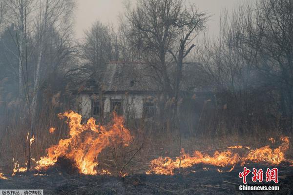 世界杯决赛预测-爱游戏(ayx)官网网站_ayx.com