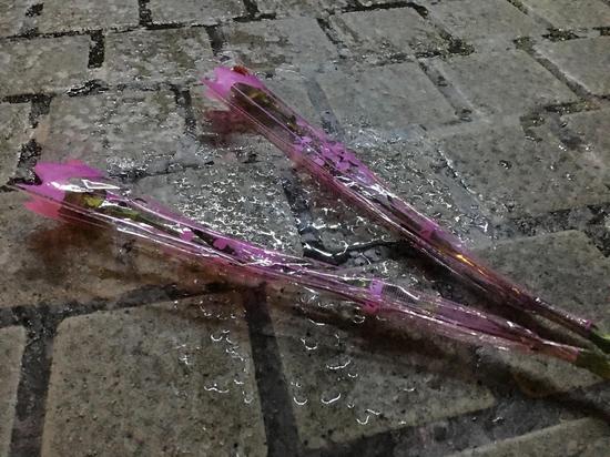 8日凌晨广东省人民医院门口两位女生献上的鲜花
