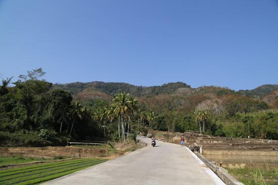 进毛招村的道路。