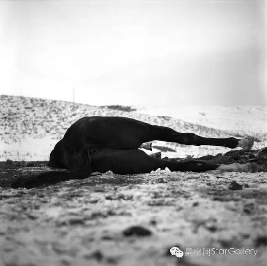 孙彦初 Sun Yanchu／风尘记 Dust in The Wind／明胶卤化银 Silver gelatin print／45×45cm／2012