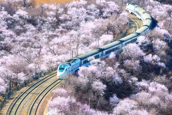 《开往春天的火车》摄影：杨烁 @光影magic