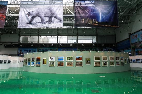 中国伊春首届自然生态国际摄影周展览现场。