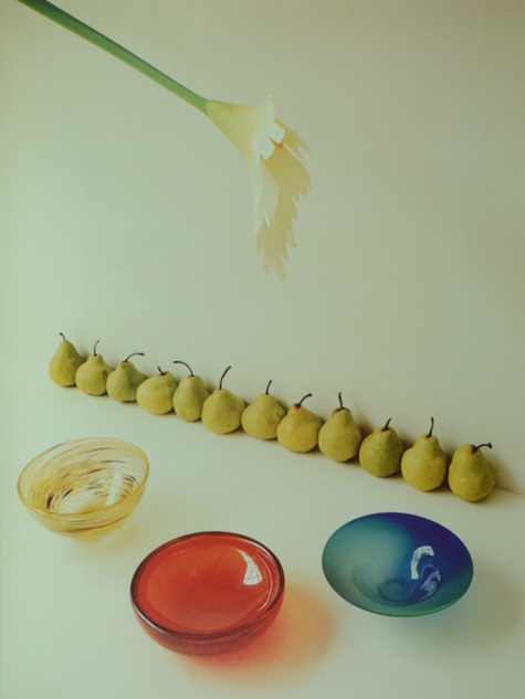 探望，Patricia Desmarquest作品，1994