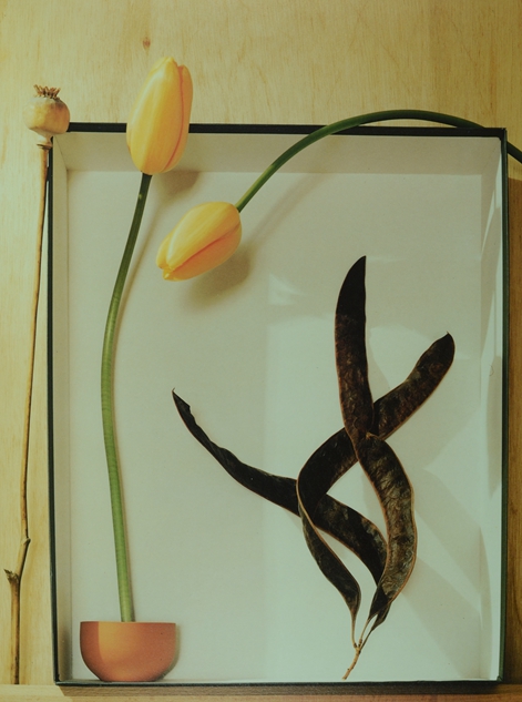 三个时期：过去、现在、将来，Patricia Desmarquest作品，1994