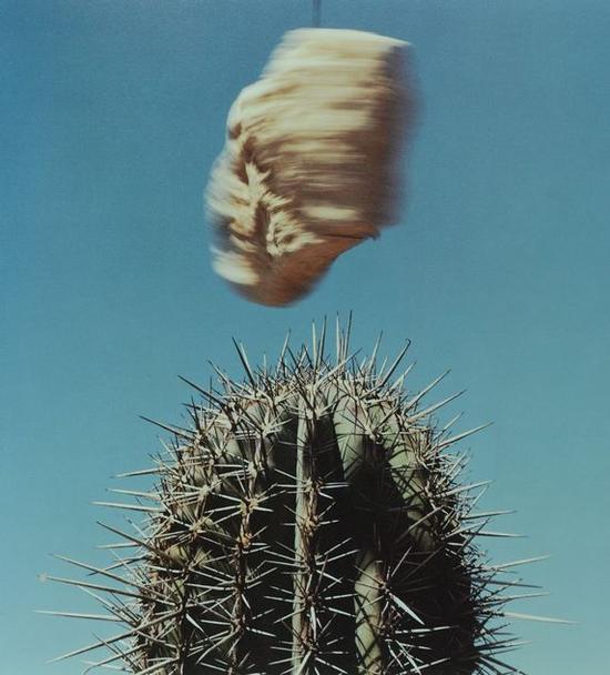 《景色》系列，Michel Szulc-Krzyzanowski作品，1995-1997