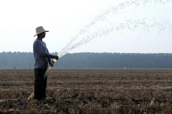 2015,06,10,西平老王坡农场农工在抗旱。