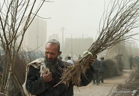 4《树巴扎》&nbsp; 作者：傅春 作品共25幅