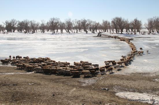 19《四季转场》&nbsp; 作者：叶尔江·木哈买提 作品共32幅