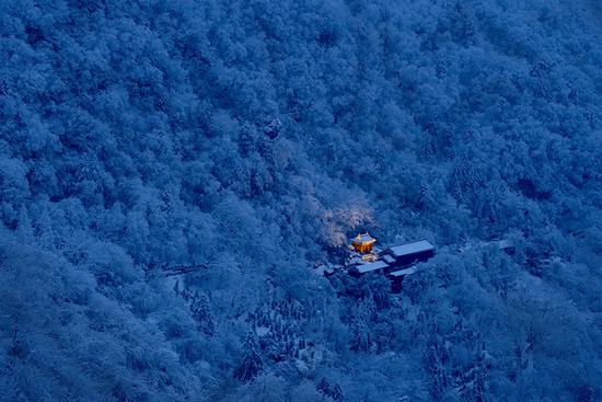 二等奖 《林中仙迹》 作者：无极