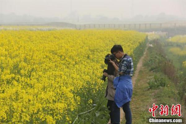 百威娱乐城注册