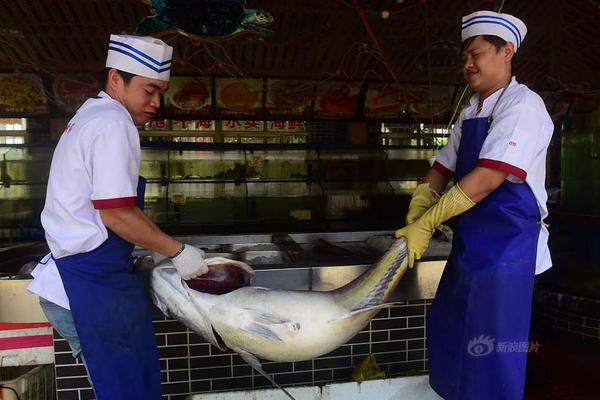 创世前的暗斗-乐鱼app(leyu)官方网站-乐鱼官网