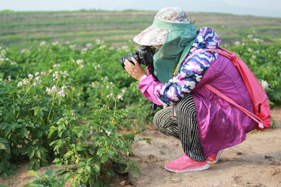 这位泡菜在导师指导下认真地进行拍摄