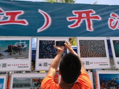 2017年8月16日,第二届“大美渔村 平安渔业”中国渔业摄影展在广东省阳江市的海陵岛启动,首届中国渔业摄影大展入展作品展览开幕。张双双摄