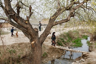 Carolyn Drake/Magnum Photos