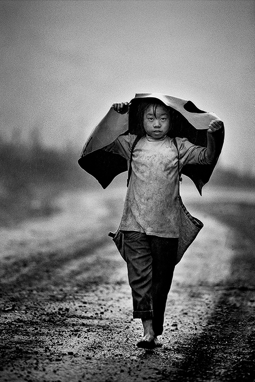 1993年10月 贵州省水城县保华乡东升村。 12岁的李成妹没有上过一天学， 无论刮风下雨她都要去山里砍柴。