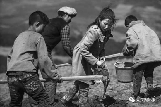 2016年3月14日,他们从小就劳作在田地里。
