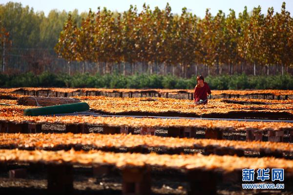 2012尤文图斯阵容-乐鱼APP下载-乐鱼体育app-乐鱼体育官网网站|乐鱼体育