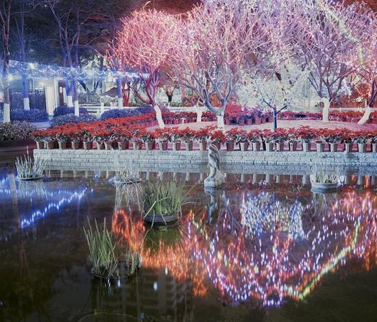 ▲ ‘哈内姆勒·新锐摄影师奖’彭可《盐水池塘 Salt Ponds》