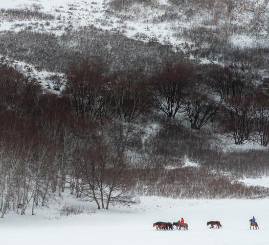 林野牧雪