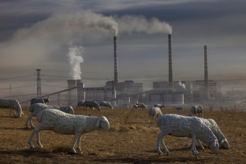 卢广  2012年，内蒙古，科尔沁草原，一座以开采煤矿、发电、化工为主的工业城市，因这里污染严重，在这里很难看到牛羊等动物，地方政府在草原上放置了大量的动物雕塑。