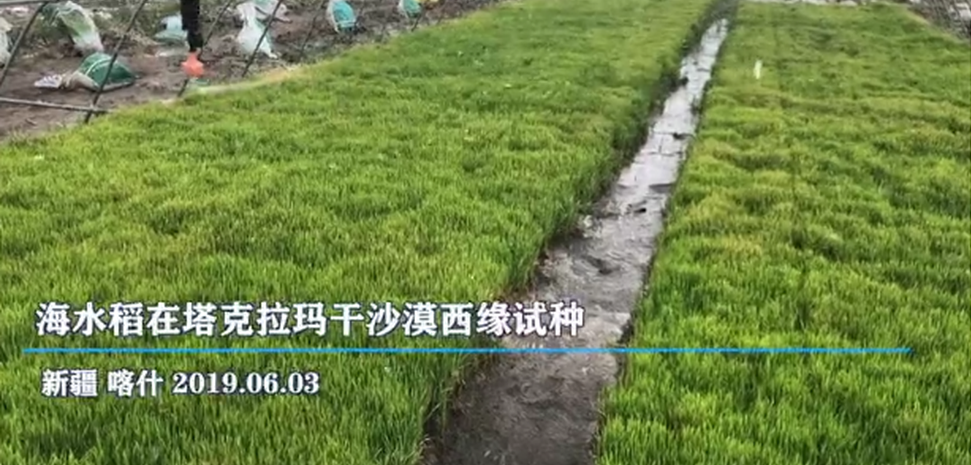 欧美日韩一级婬片A片吞精怀直播S135伏击青钢影阵容 1