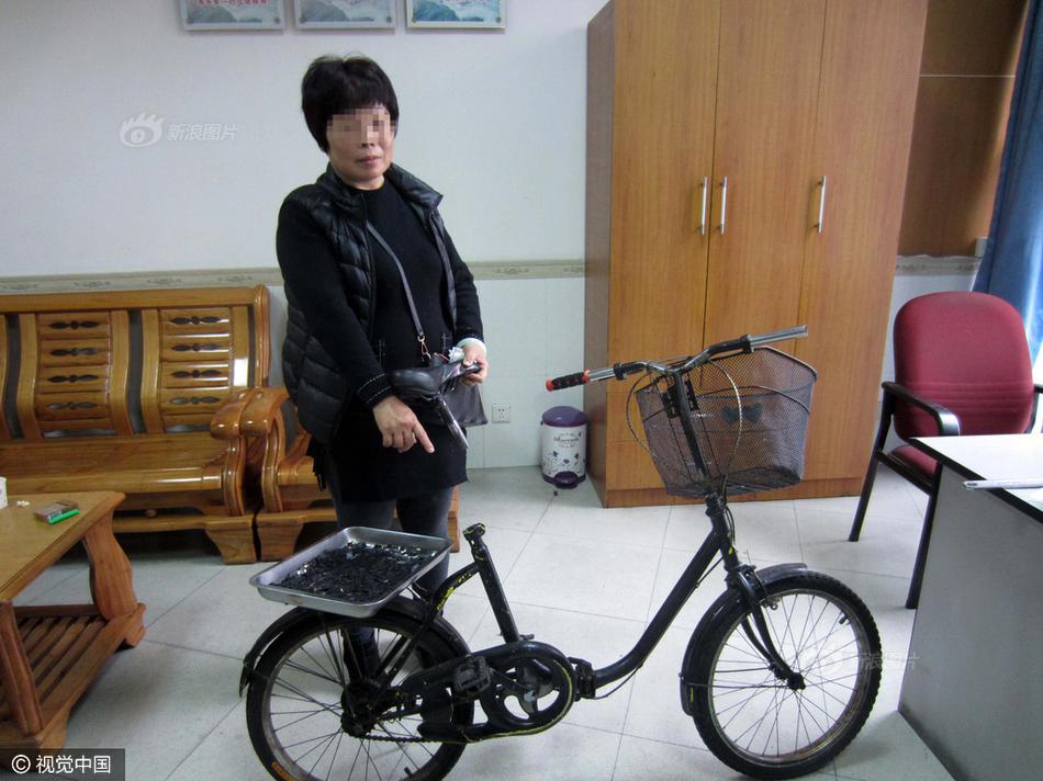 老妇替人走私 车藏内存卡3千张