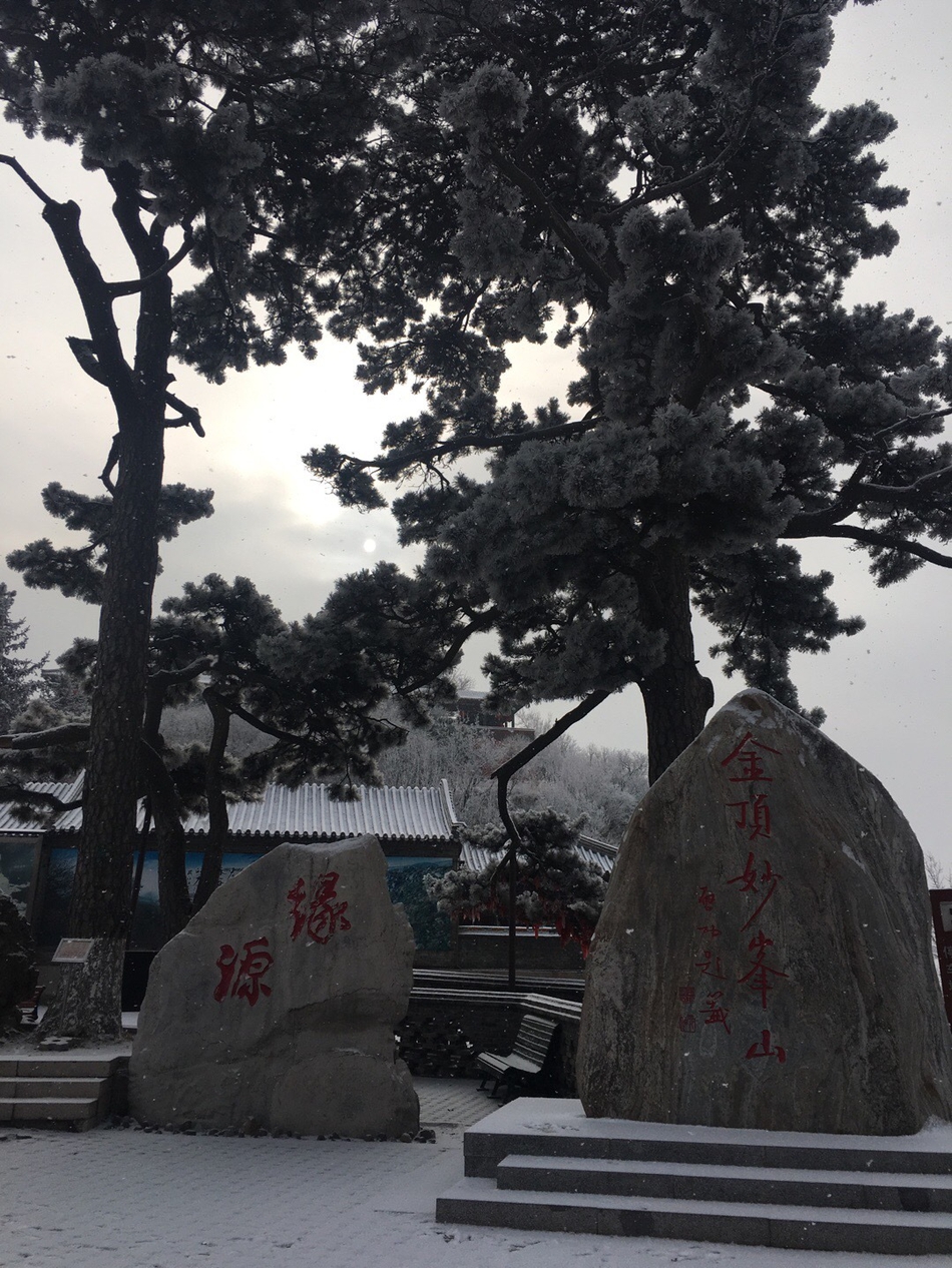 eVgx-hsqyiwt7401327.jpg