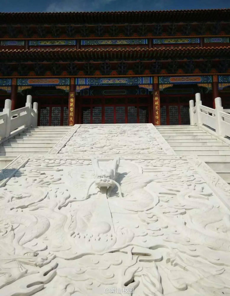 国产精品理论片