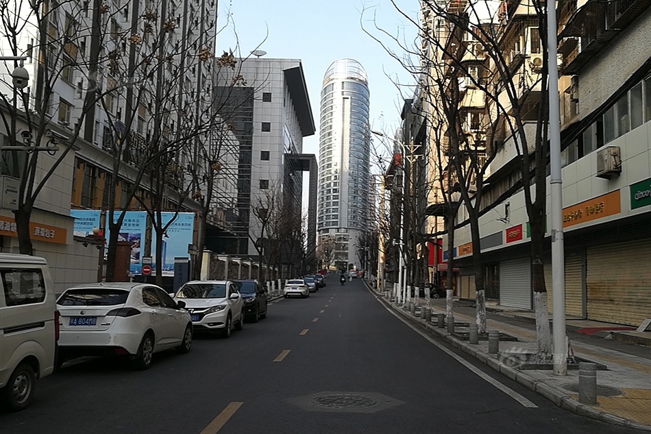 夜月app直播