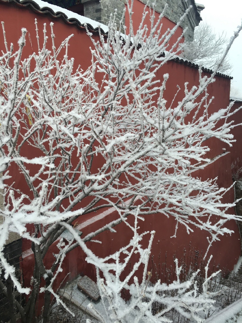MKyF-hsqyiwt7401078.jpg